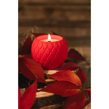 Svíčka SOJOVÁ VONNÁ SVÍČKA S DŘEVĚNÝM KNOSTEM V SÁDROVÉM OBALU