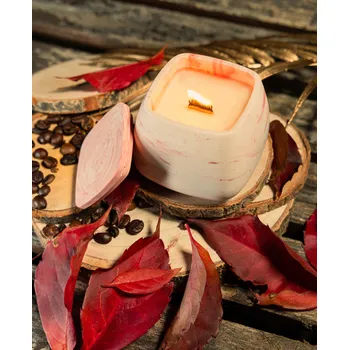 Svíčka SOJOVÁ VONNÁ SVÍČKA S DŘEVĚNÝM KNOSTEM V SÁDROVÉM OBALU