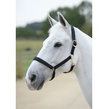 Bucas Ohlávka Dublin Bucas, černá COB