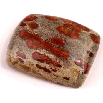 Přírodní kámen Kabošon Mexican Peanut Wood č.7639 (29x23x9mm)