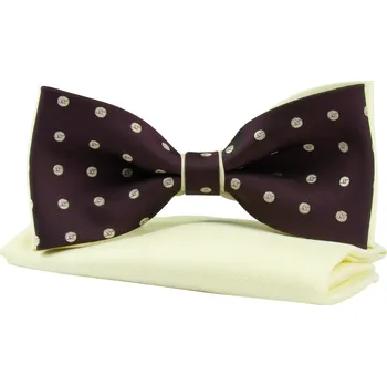 Motýlek Bordó pánský motýlek s béžovým lemem a puntíky