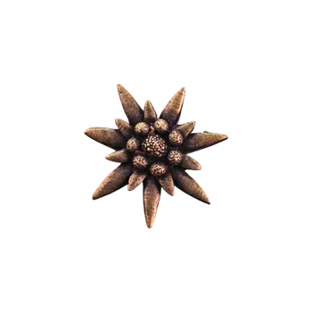 Zubíček Alpská protěž (odznak na klobouk)