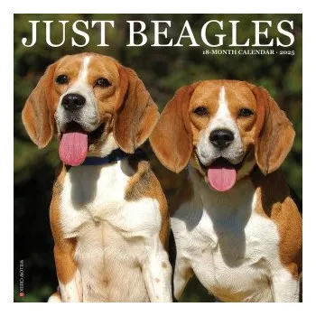 Kalendář Beagles 2026 12 X 12 Wall Calendar (EN)