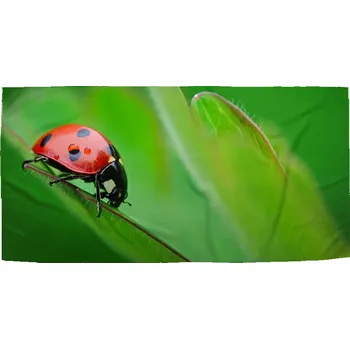 Osuška Sablio Ručník Beruška na listě - 50x100 cm