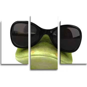 Obraz Sablio Obraz - 3-dílný Žába v brýlích - 75x50 cm