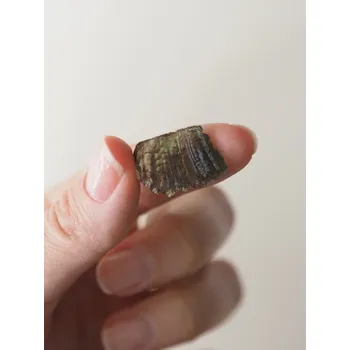 Vltavín surový, 2,5 g