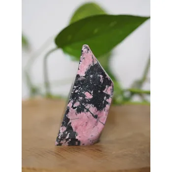 Sběratelství Rodonit leštěný, 290g