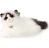 plyšák Rappa Eco-Friendly Plyšová hračka 35 cm, ležící kočka Ragdoll