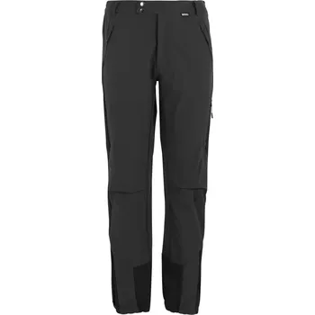 Pánské kalhoty Pánské kalhoty Regatta MOUNTAIN WNTR šedá/černá S