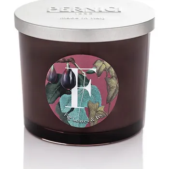 Svíčka Pernici Elementi - Fig Leaves & Ivy Doba hoření: 40 - 45 hodin