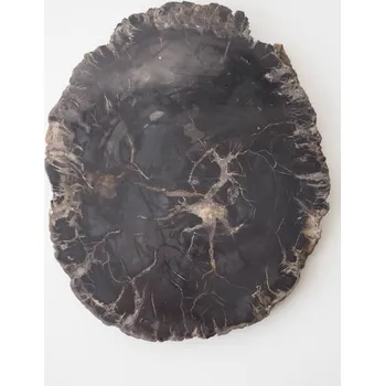 Přírodní kámen Zkamenělé dřevo, 3,57 kg