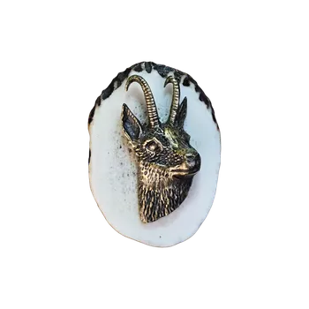 Zubíček Kamzík hlava (parohové bolo - řez)