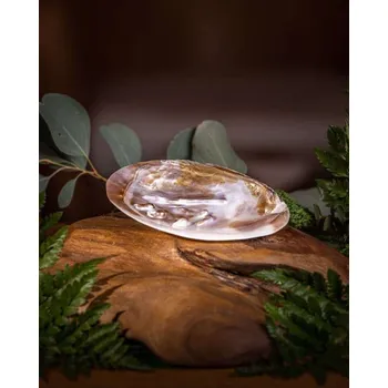 Mušle k vykuřování