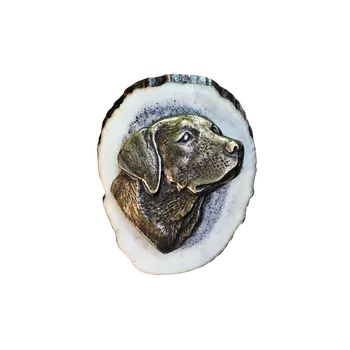 Zubíček Retriever (parohové bolo - řez)