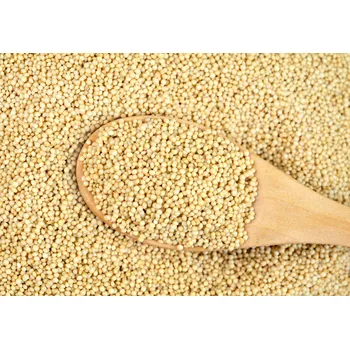 Amarant - Laskavec ocasatý Bio 25 kg LES FRUITS DU PARADIS