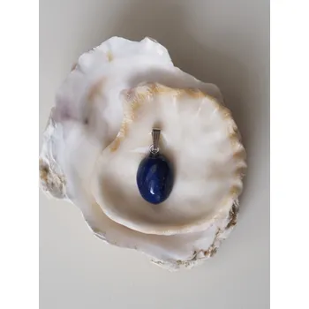 Přívěsek Lapis Lazuli přívěsek