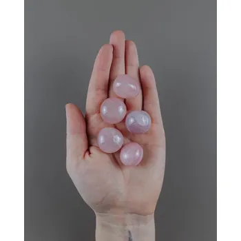 Růženín tromlovaný