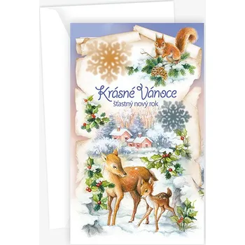 Mezuza Vánoční přání N 12-311 598857