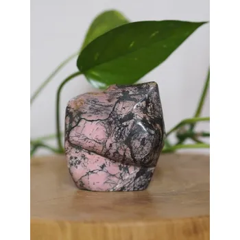 Sběratelství Rodonit leštěný, 340g