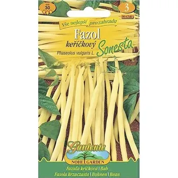 Semeno Fazol keříčkový Sonesta semena Nohel Garden