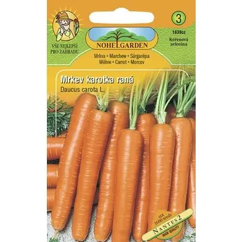 Semeno Mrkev karotka raná Nantes 2 semena Nohel Garden