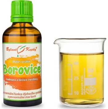 Doplněk stravy Bylinné kapky s.r.o. Borovice tinktura 50 ml | Bylinné kapky