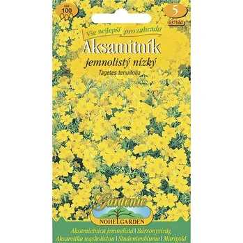 Semeno Aksamitník jemnolistý nízký žlutý
