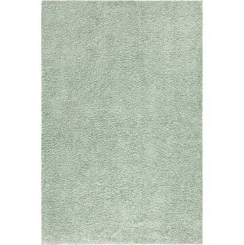 Koberec Koberec City Shaggy 500 zelený