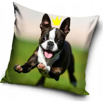 Povlak na polštářek Povlak na polštář Psí koruna 40x40 cm