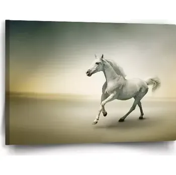 Obraz Sablio Obraz Bílý kůň 2 - 60x40 cm