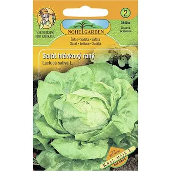 Semeno Salát hlávkový raný KRÁL MÁJE I.