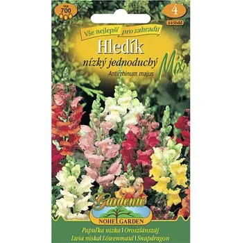 Semeno Hledík nízký jednoduchý 'Antirrhinum majus' směs semen
