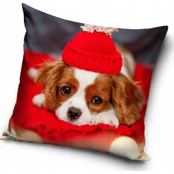 Povlak na polštářek Povlak na polštář s motivem psí kapuce 40x40 cm