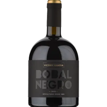 Víno Vicente Gandia Bobal Negro 2022