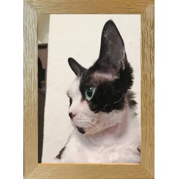 Obraz Rámeček na jedno foto Marek i Darek 30 x 20 cm