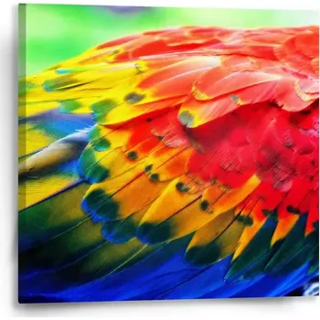Obraz Sablio Obraz Barevné peří 2 - 50x50 cm