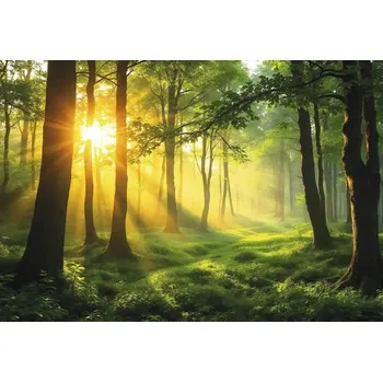 Obraz Obraz Decopanel ART-L 60 x 100 cm