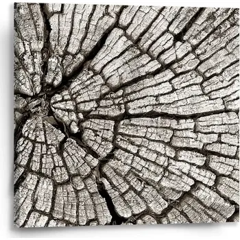 Obraz Sablio Obraz Dřevo - 50x50 cm