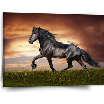 Obraz Sablio Obraz Friský kůň - 150x110 cm