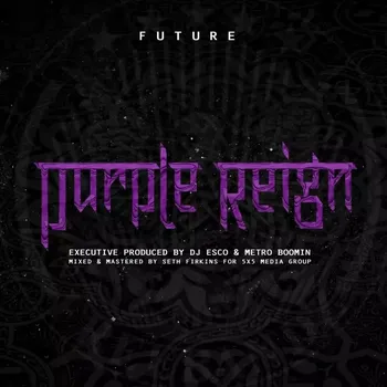 Zahraniční hudba Purple Reign Future Vinylová Deska