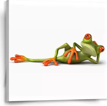 Obraz Sablio Obraz Ležící žába - 50x50 cm