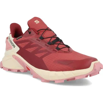 Dámská běžecká obuv Salomon Supercross 4 GTX W L47316800 - cow hide/syrah/blush 38