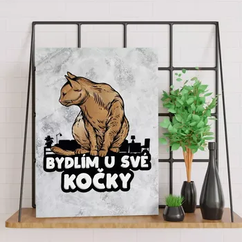 Plechová cedule Sablio Dárková cedulka Bydlím u své kočky: 30x40 cm
