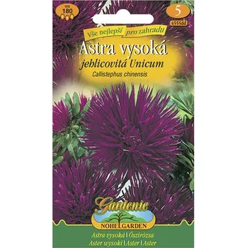 Semeno Astra vysoká jehlicovitá Unicum 'Callistephus chinensis'