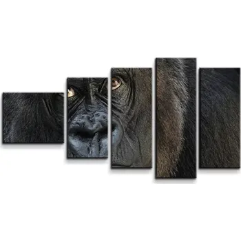Obraz Sablio Obraz - 5-dílný Gorila - 100x60 cm