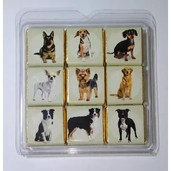 Čokoláda Mini čokoládky PEJSKOVÉ 45 g - 9x mini čokoládička - mléčná (9 různých motivů pejsků / mléčná čokoláda)