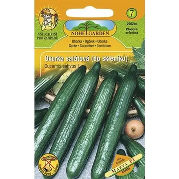Semeno Okurka salátová do skleníku semena Nohel Garden