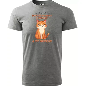 Pánské tričko Sablio Tričko s potiskem Dny, kdy mě dokáže na*rat i vzduch - šedé 4XL