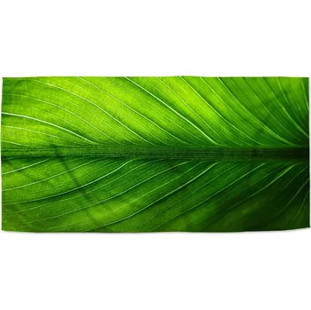 Osuška Sablio Ručník List 2 - 30x50 cm