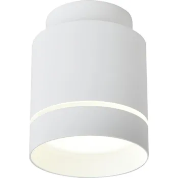 LED stropní moderní osvětlení TUBA - 12W, 4000K (neutrální bílá), 10,5x7,9cm, kulaté, bílé